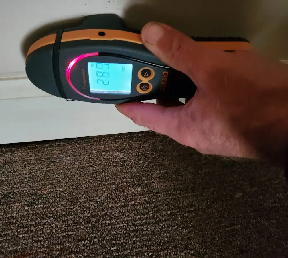 Moisture detection at baseboard during Mold Inspection & Testing in Trenton