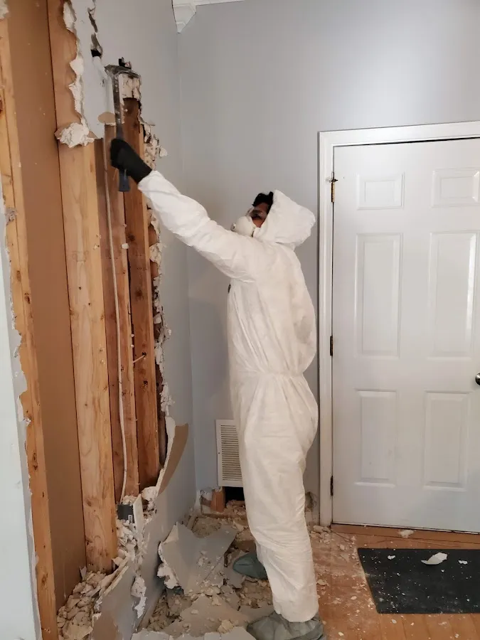 Mold Remediation & Removal in Trenton, MI